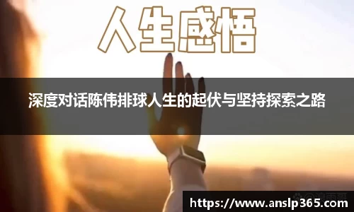 深度对话陈伟排球人生的起伏与坚持探索之路