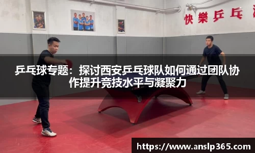 乒乓球专题：探讨西安乒乓球队如何通过团队协作提升竞技水平与凝聚力