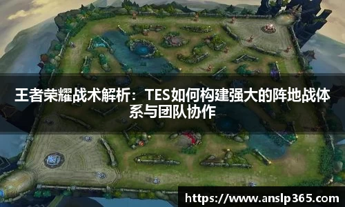 王者荣耀战术解析：TES如何构建强大的阵地战体系与团队协作